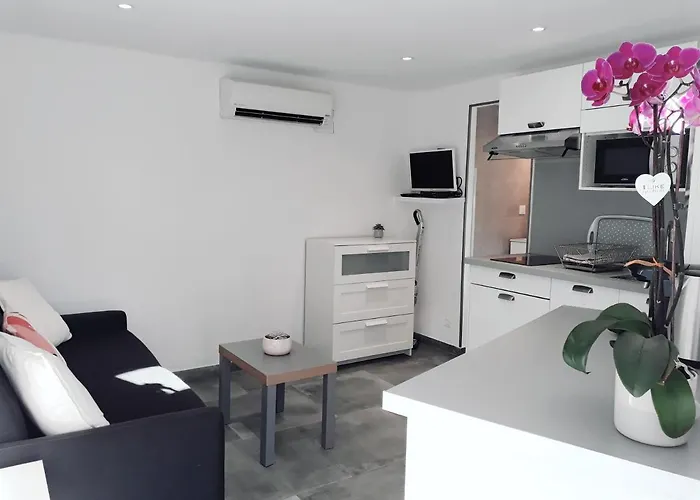 Renove Avec Terrasse St Raphael Holiday home