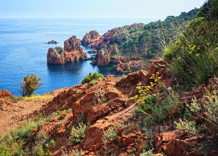 Renove Avec Terrasse St Raphael *